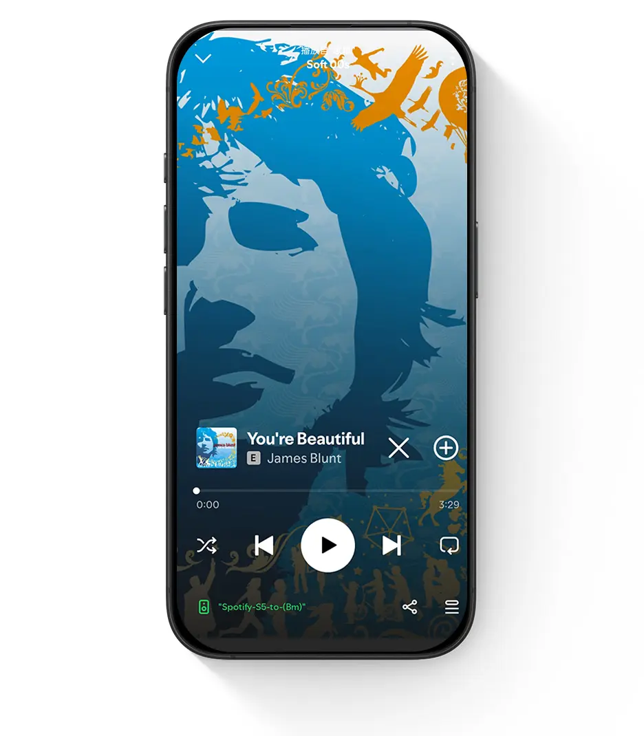Spotify Connect